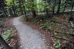 Spruce Peak Pathways, Stowe, Vermont