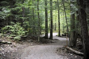 restored trail