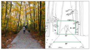 Project specific design images help trail managers visualize the dimensions of a Trail Corridor.