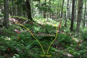 Trail Layout and Design Workshops